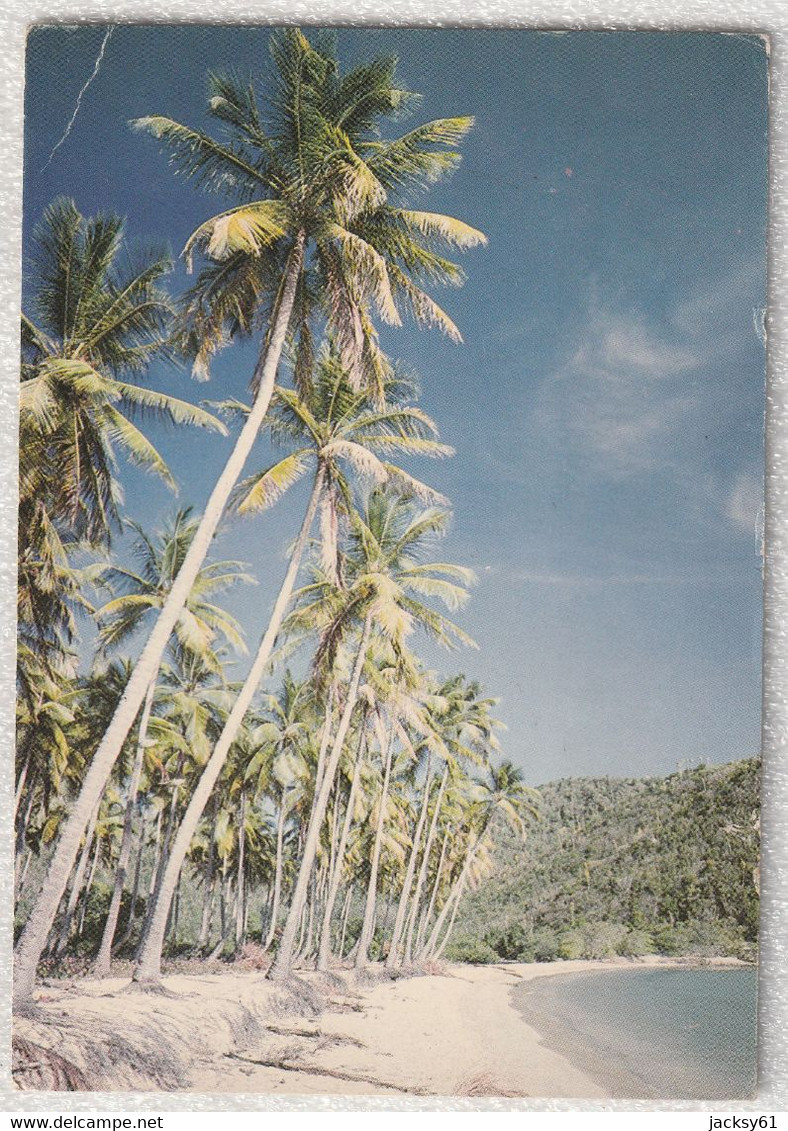 Antigua  - (voir Timbre Princes Charles & Lady Diana) - Antigua Und Barbuda