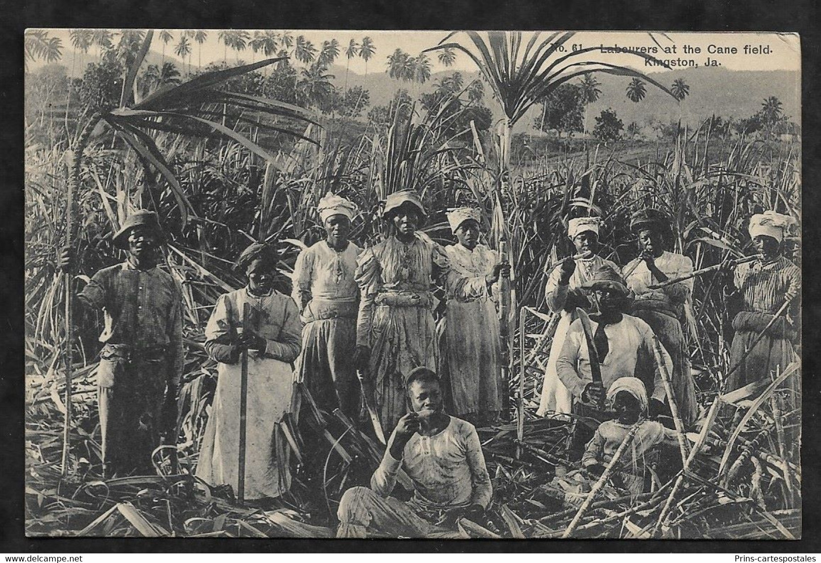 CPA Jamaïque Kingston Labourers At The Cane Field - Jamaïque