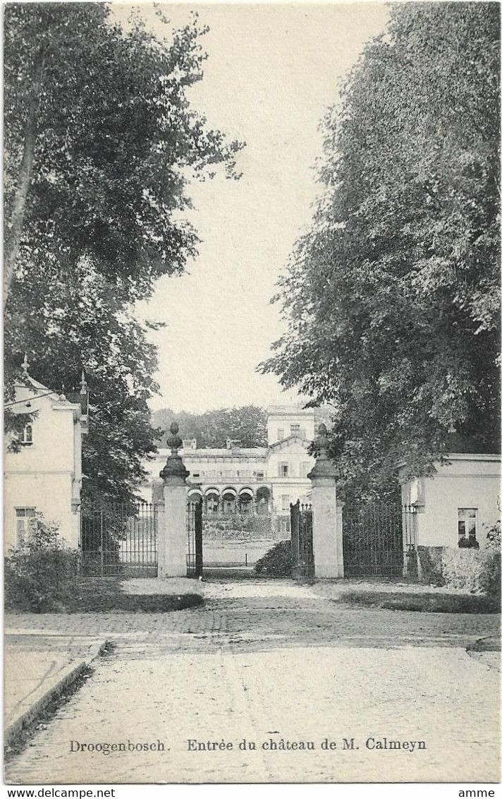 Droogenbosch * Entrée Du Château De M. Calmeyn - Drogenbos