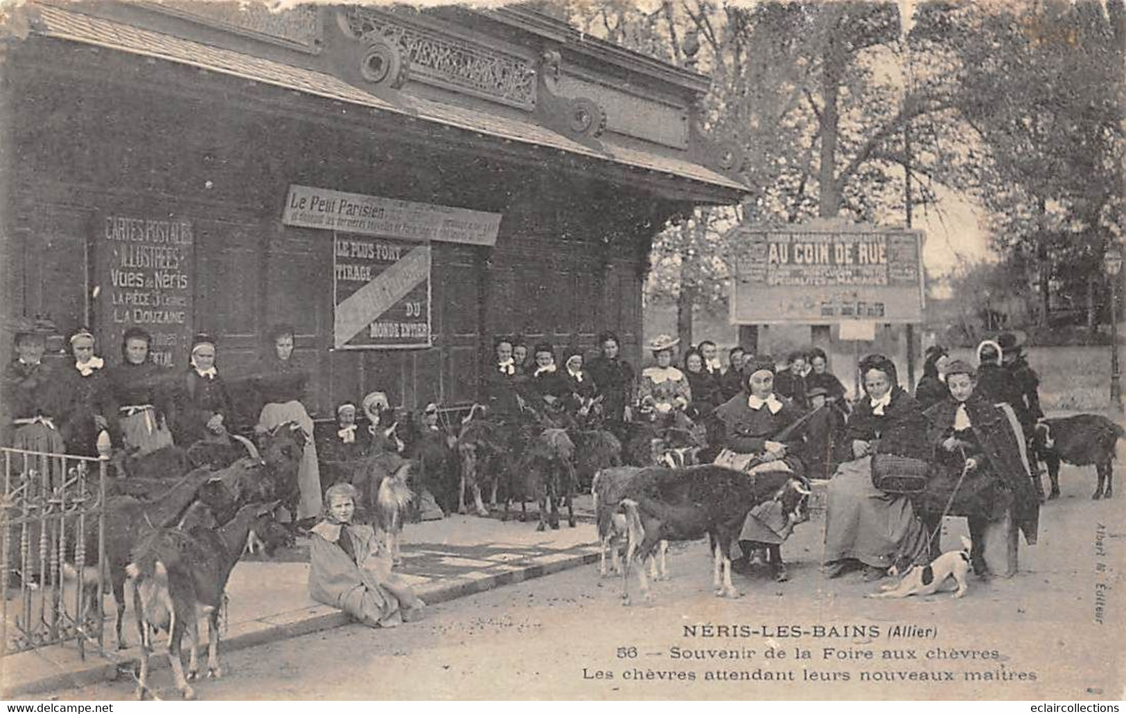 Néris Les Bains          03      Les Chêvres Attendent Leurs Nouveaux Maitres       (voir Scan) - Neris Les Bains