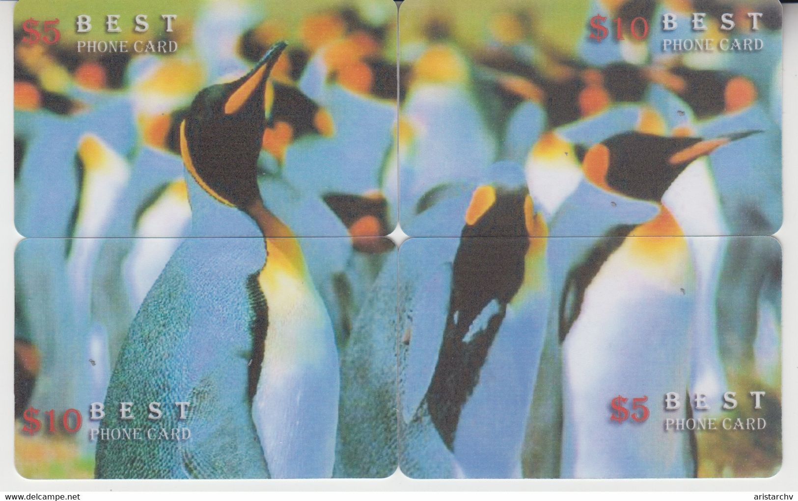 BIRD PINGUIN 20 PUZZLES OF 80 CARDS