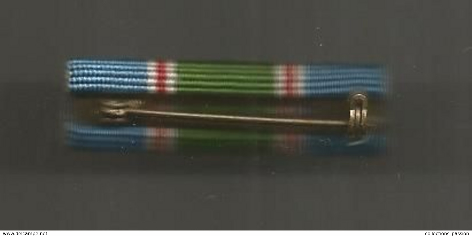 Insigne , MILITAIRE , Militaria , à Identifier , Barrette , 2 Scans - Other & Unclassified