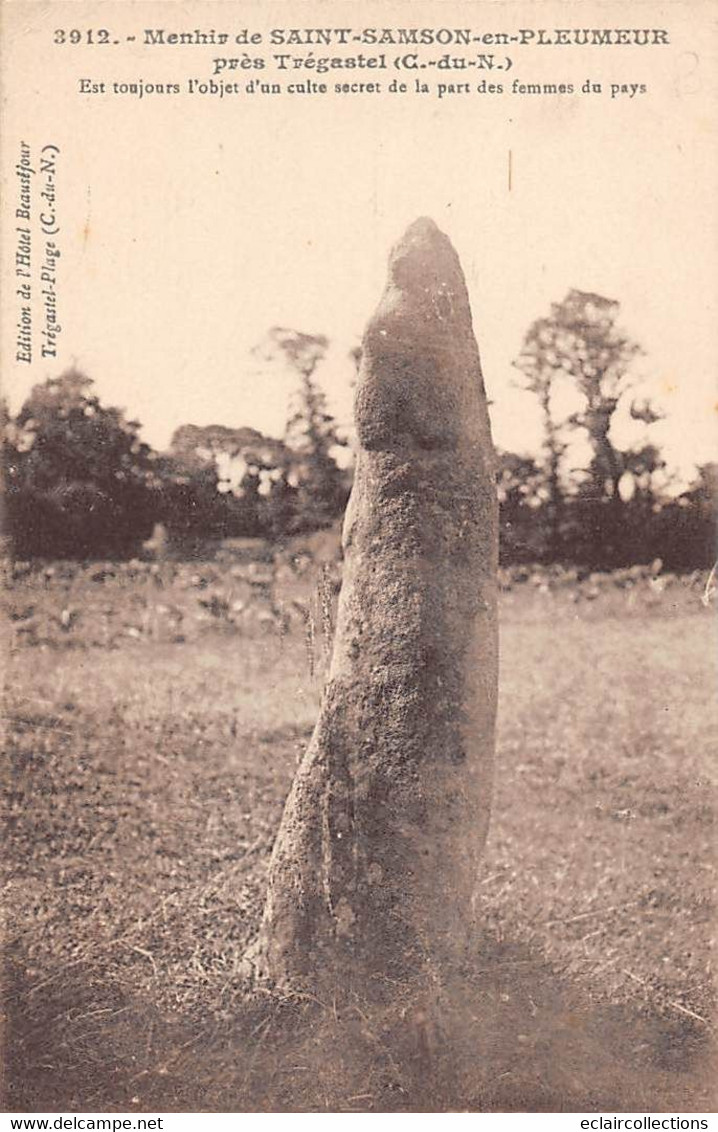 Thème: Dolmen Et Menhir:     Saint Samson En Pleumeur    22    Menhir      (voir Scan) - Dolmen & Menhirs