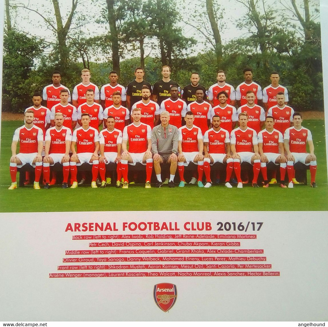 Arsenal Football Team Photo (Signed At The Back) - Other & Unclassified