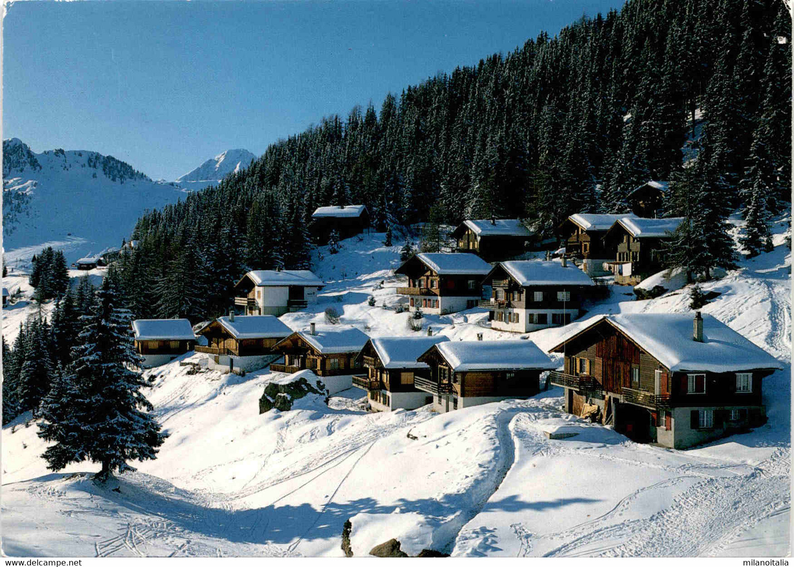 Goppisbergeralp Bei Riederalp, Wallis  (44755) * 16. 2. 1988 - Riederalp