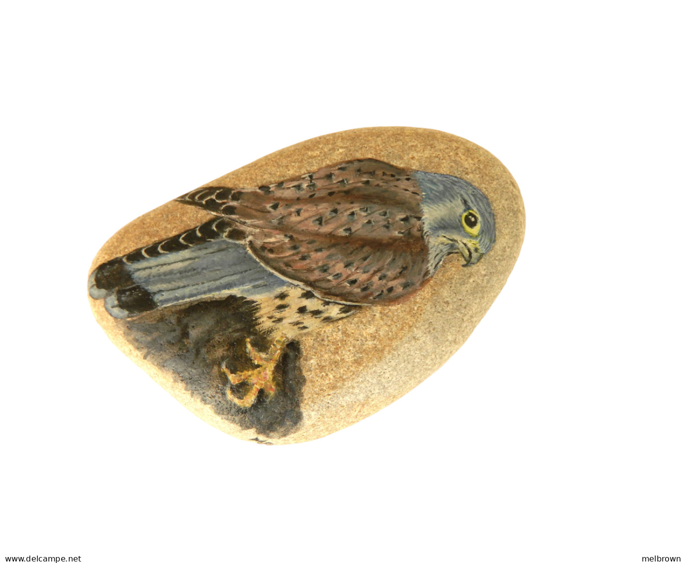 KESTREL BIRD Hand Painted On A Smooth Beach Stone Paperweight Decoration - Pisapapeles