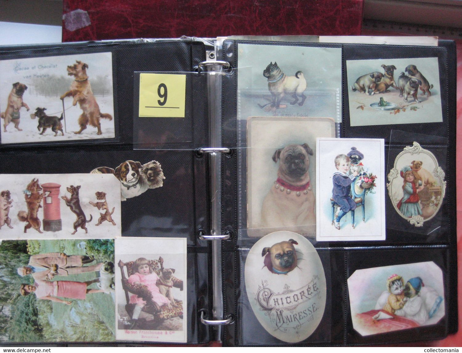 19th century each chromo fotograped (count yourself ) SCRAPS_MAP11_dogs, Mops,Teckel,Windhond GLANS BILDER