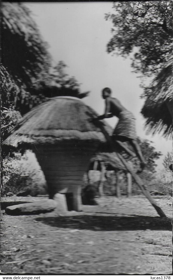 TOGO / GRENIER A MIL / RARE CPSM - Togo