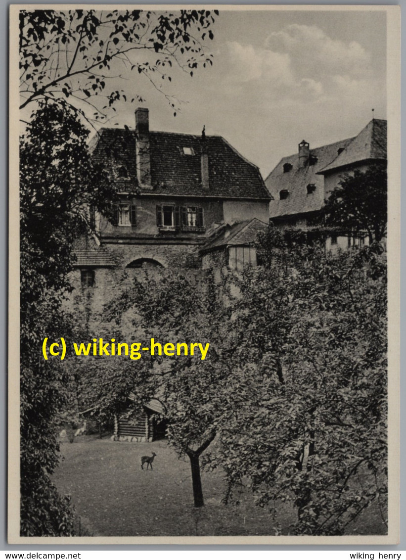 Eltville - S/w Kurfürstliche Burg 1   Blick Auf Den Burggraben Mit Rehgehege & Wohnhaus D. Familie Gensfleisch Gutenberg - Eltville