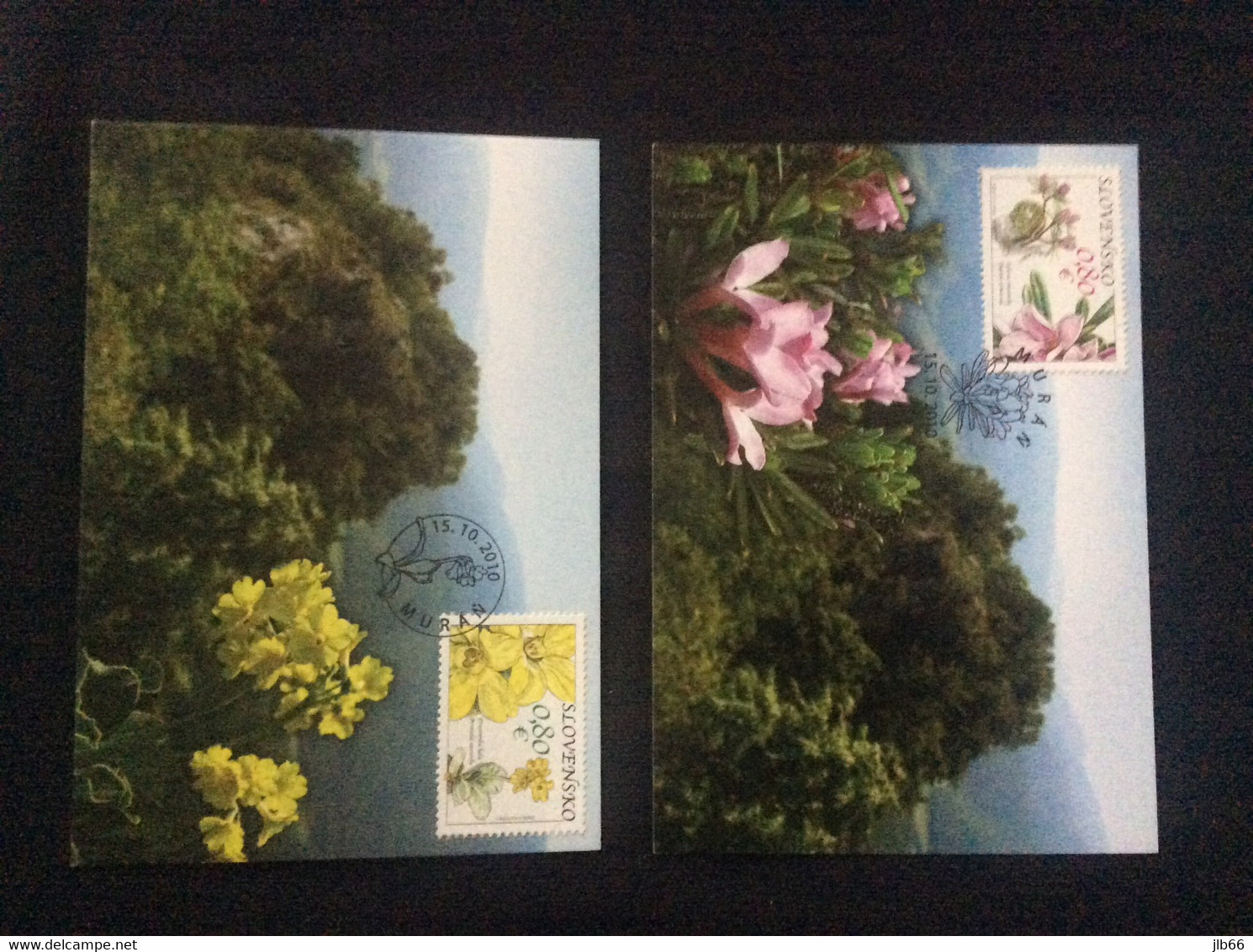 2 Carte Maximum  2010 Fleurs Sauvages Primevères Et Daphné Will Flowers - FDC