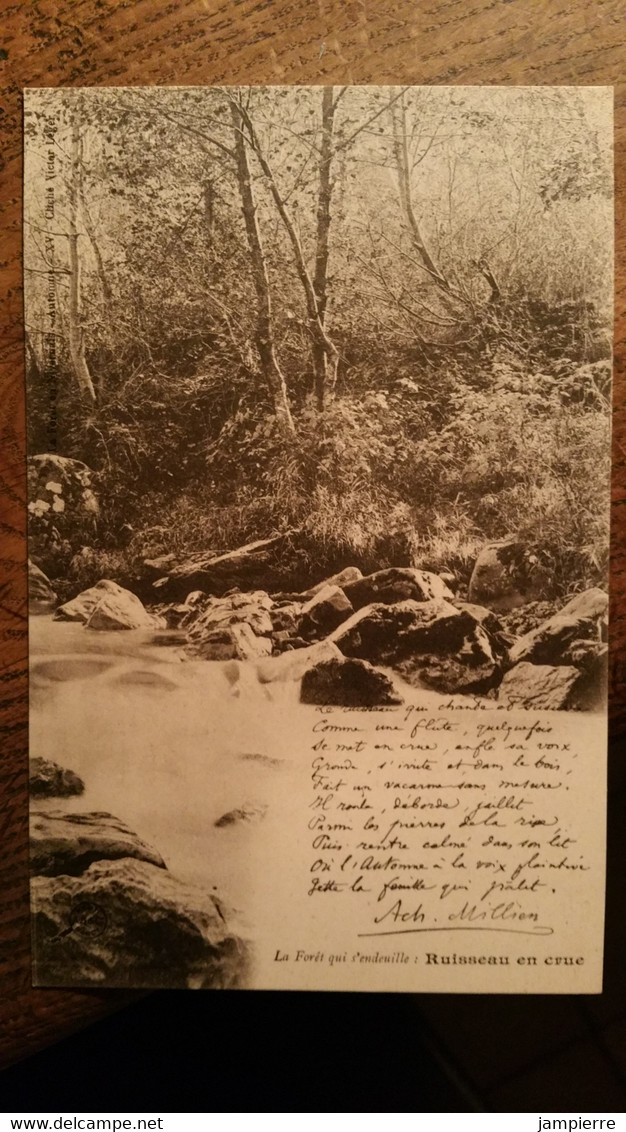 Achille Millien - La Forêt Qui S'endeuille : Ruisseau En Crue - La Fôret En Nivernais - Automne XV - Bomen