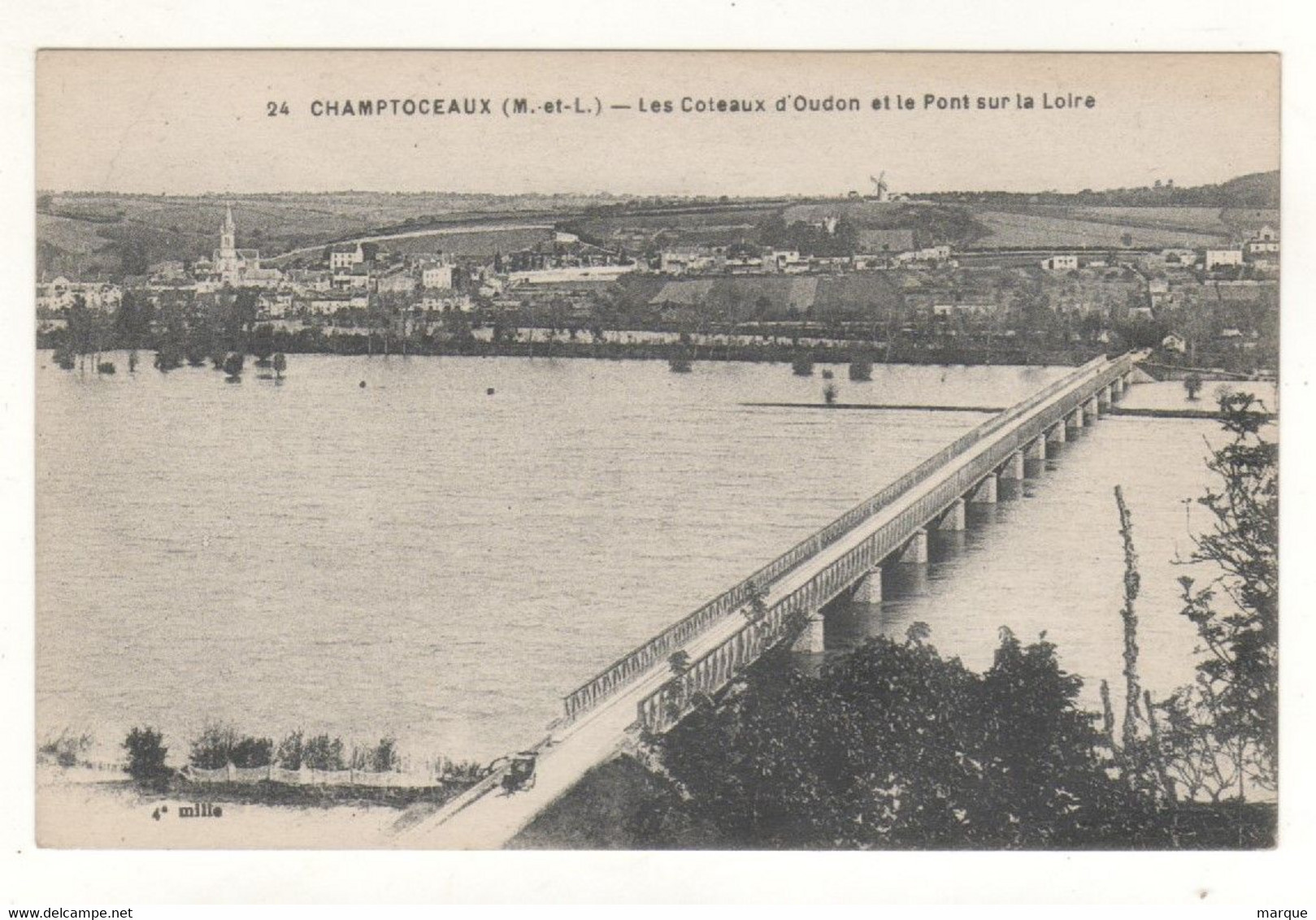 Cpa N° 24 CHAMPTOCEAUX Les Coteaux D' Oudon Et Le Pont Sur La Loire - Champtoceaux