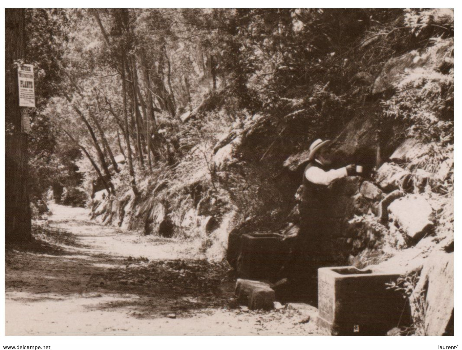 (V 9) Australia  - National Park & Wildlife (Historic Photo Repro - 1892) - Outback