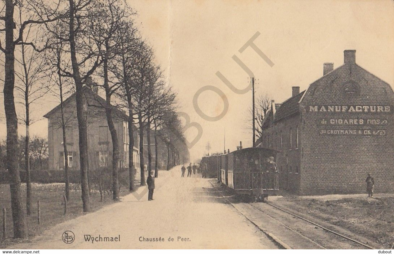 Postkaart-Carte Postale - WIJGMAAL - Peer - Chaussée De Peer - Tram !!  (B954) - Peer