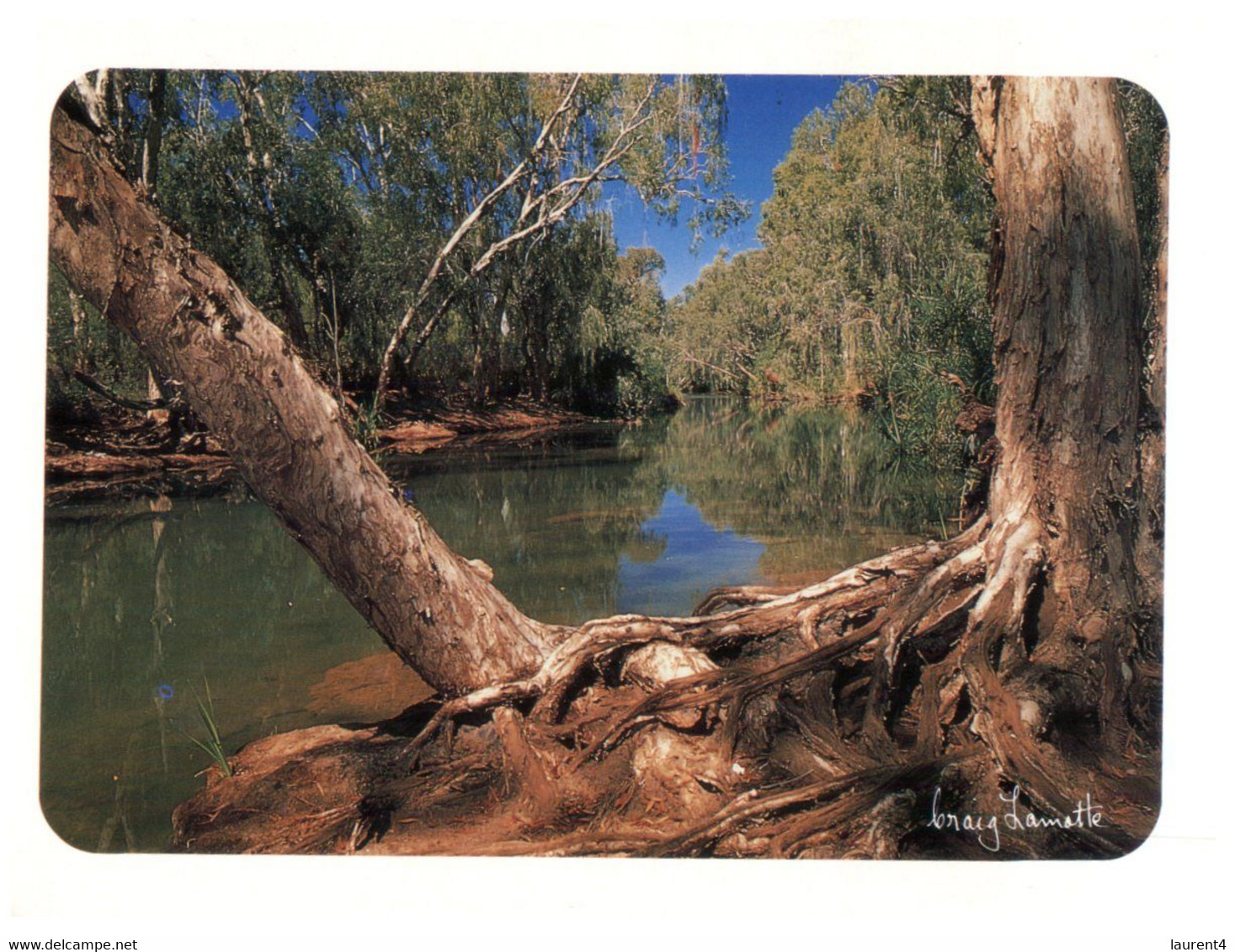 (V 15) Queensland Gregory River - Far North Queensland