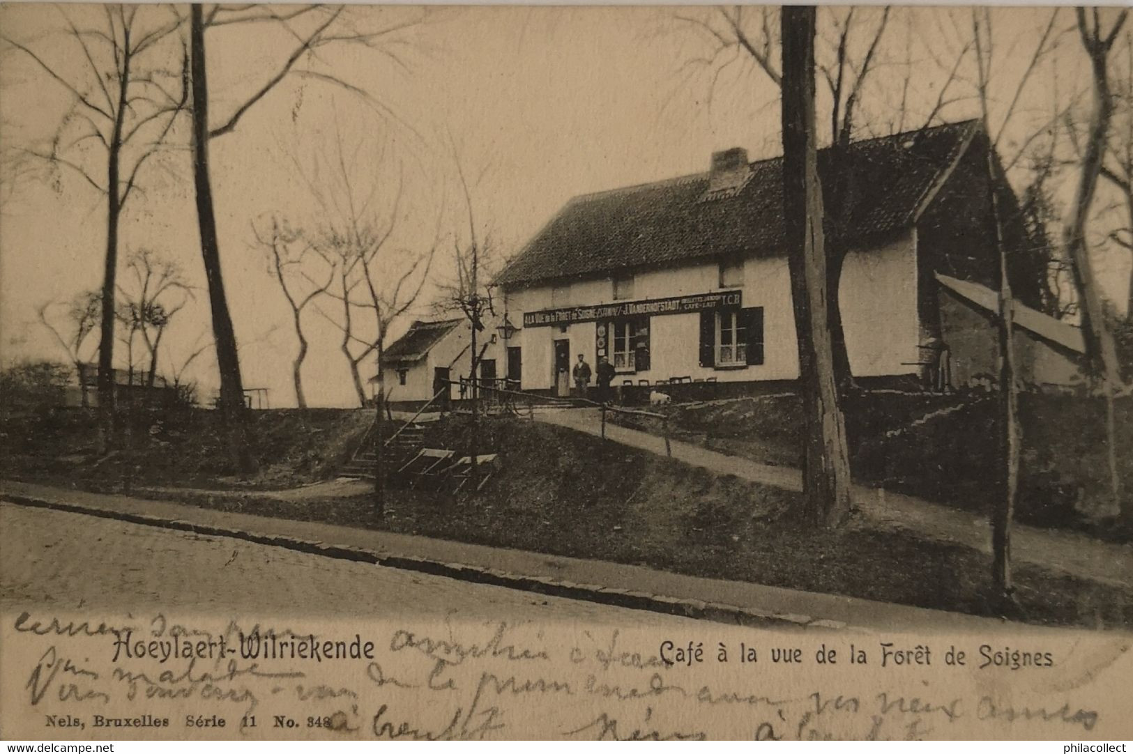 Hoeilaart - Hoeylaert - Welriekende // Cafe A La Vue De La Foret De Soignies 1905 - Hoeilaart