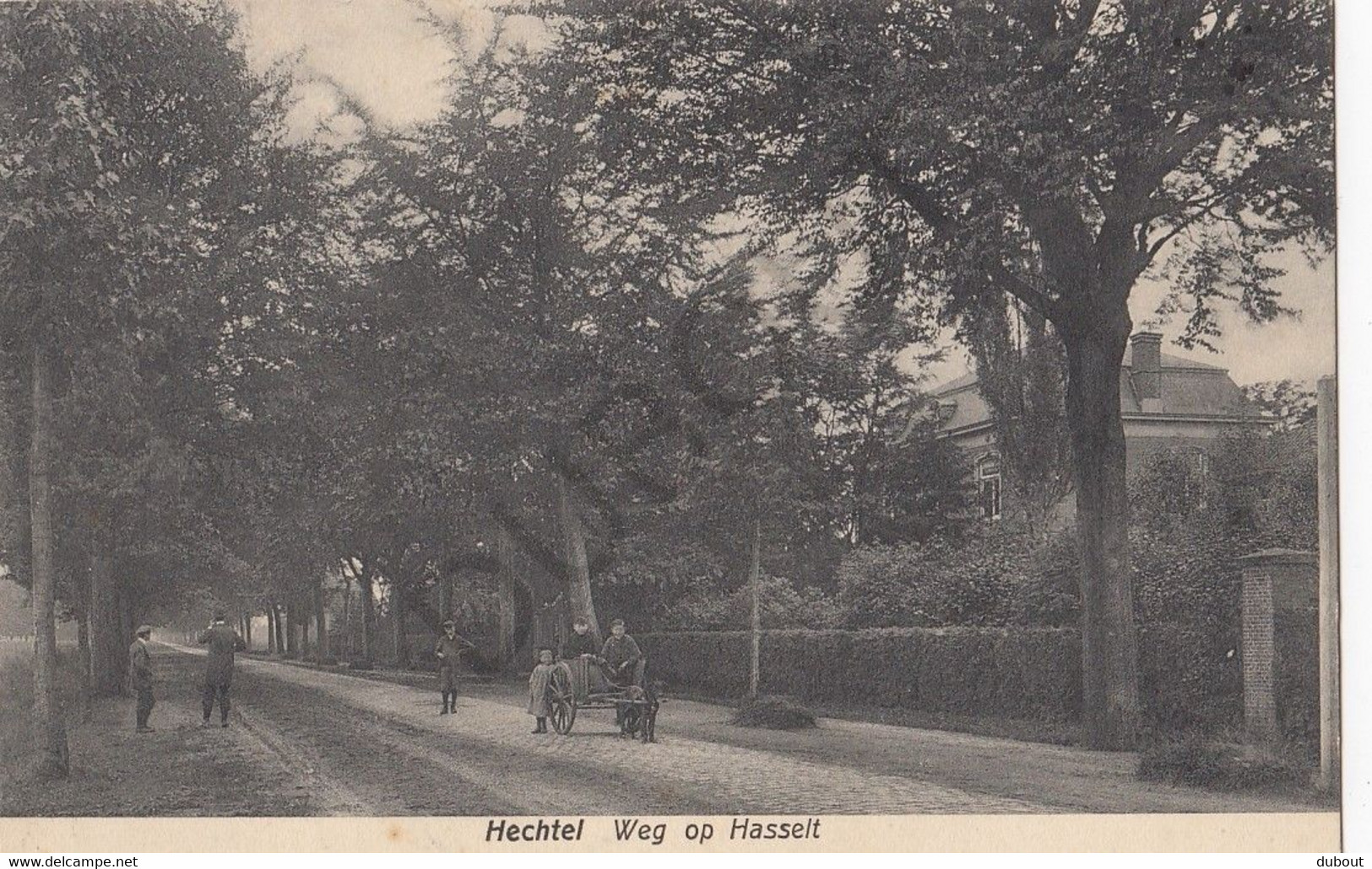 Postkaart-Carte Postale - HECHTEL - Weg Op Hasselt  (C14) - Hechtel-Eksel