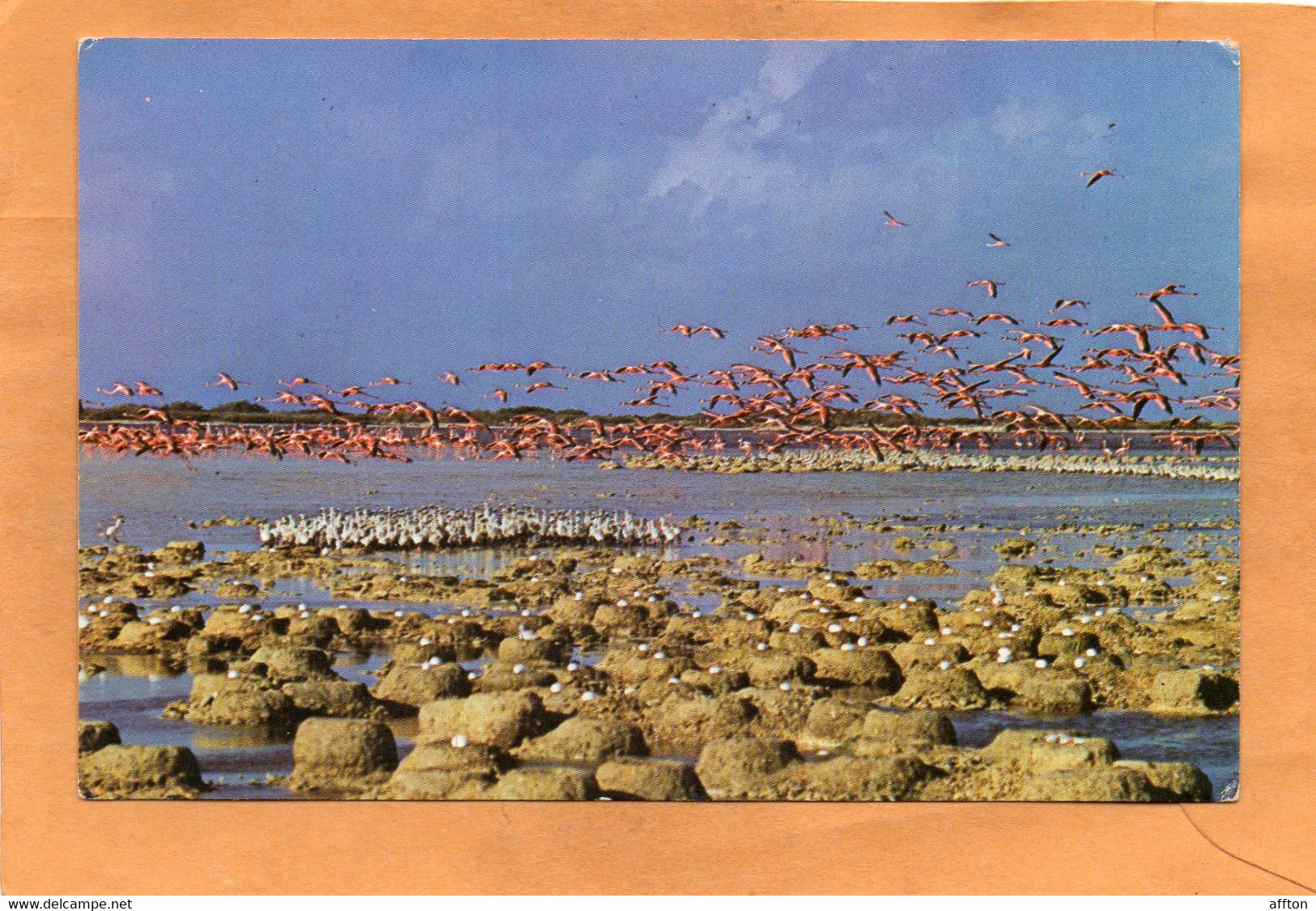 Bonaire Old Postcard - Bonaire