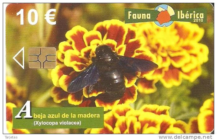 TARJETA  DE ESPAÑA DE LA ABEJA AZUL DE LA MADERA FAUNA IBERICA EN PERFECTO ESTADO - Honeybees