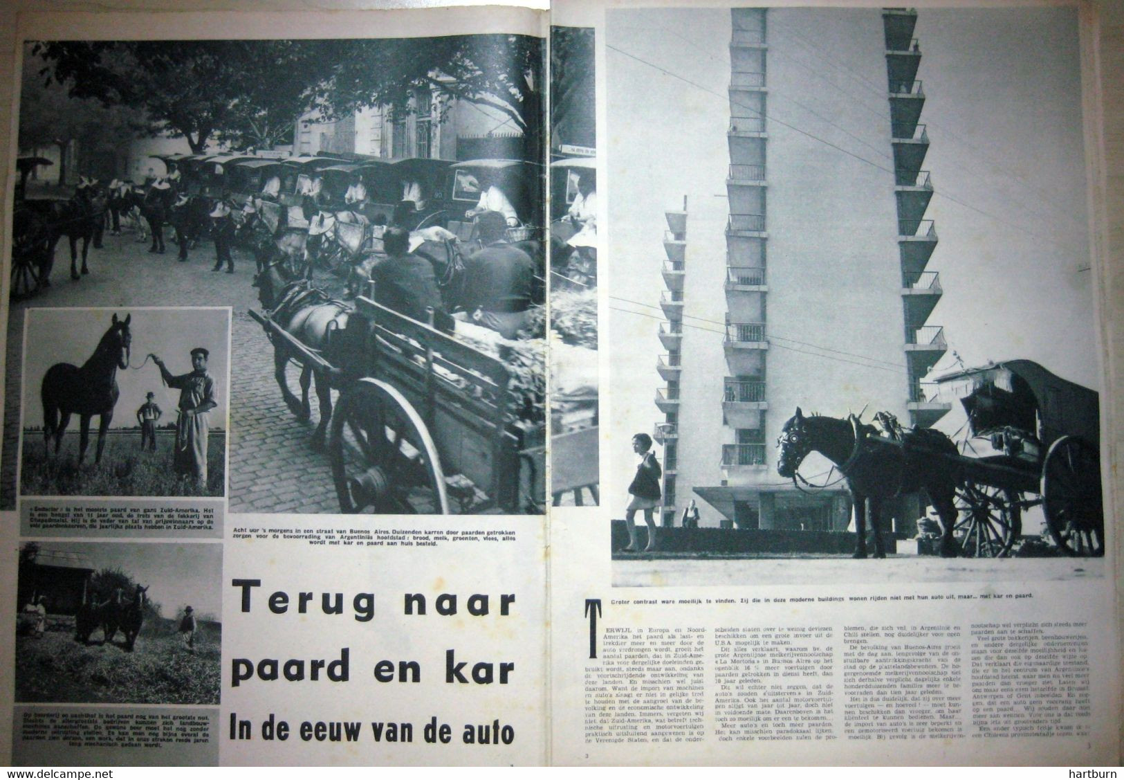 Terug Naar Paard En Kar. (06.01.1955) - Other & Unclassified