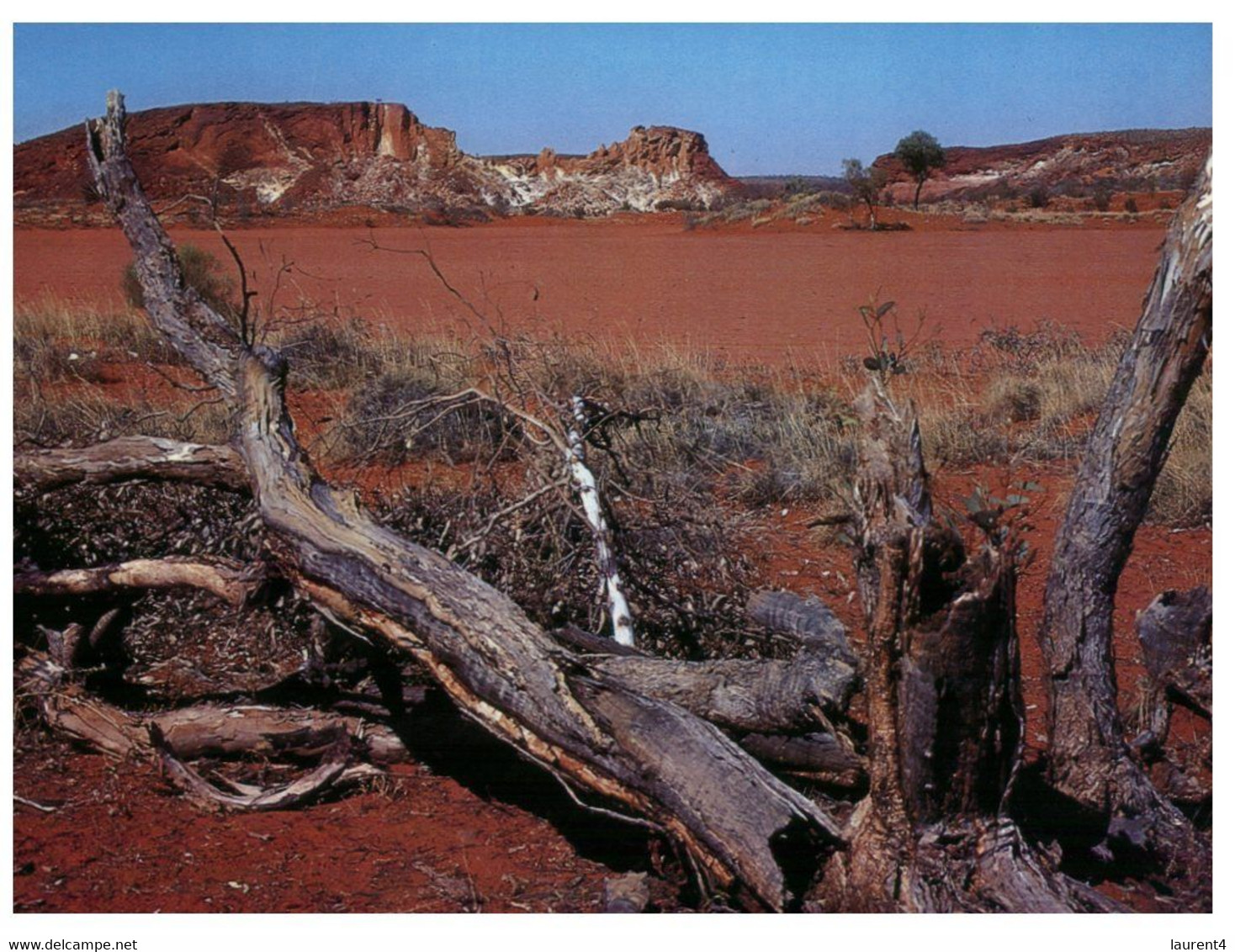 (W 15) Australia - NT - Kings Canyon - Sin Clasificación