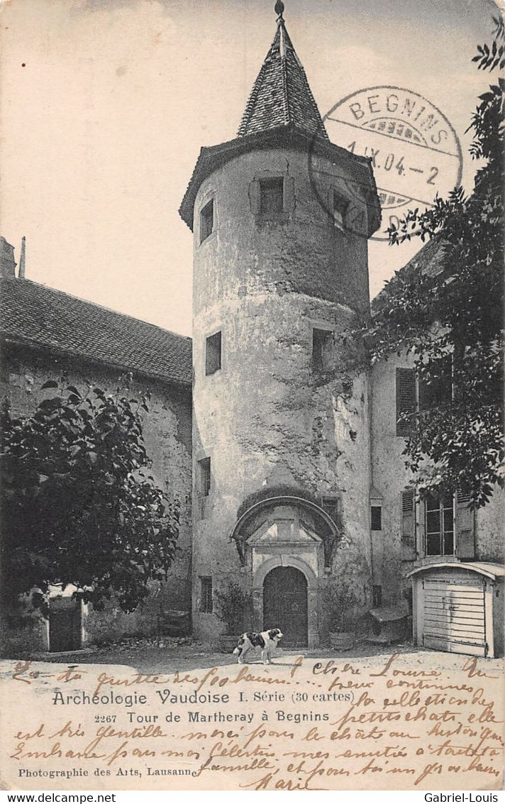 Archéologie Vaudoise Tour De Martheray à Begnins - Bouvier Bernois Chien - Begnins