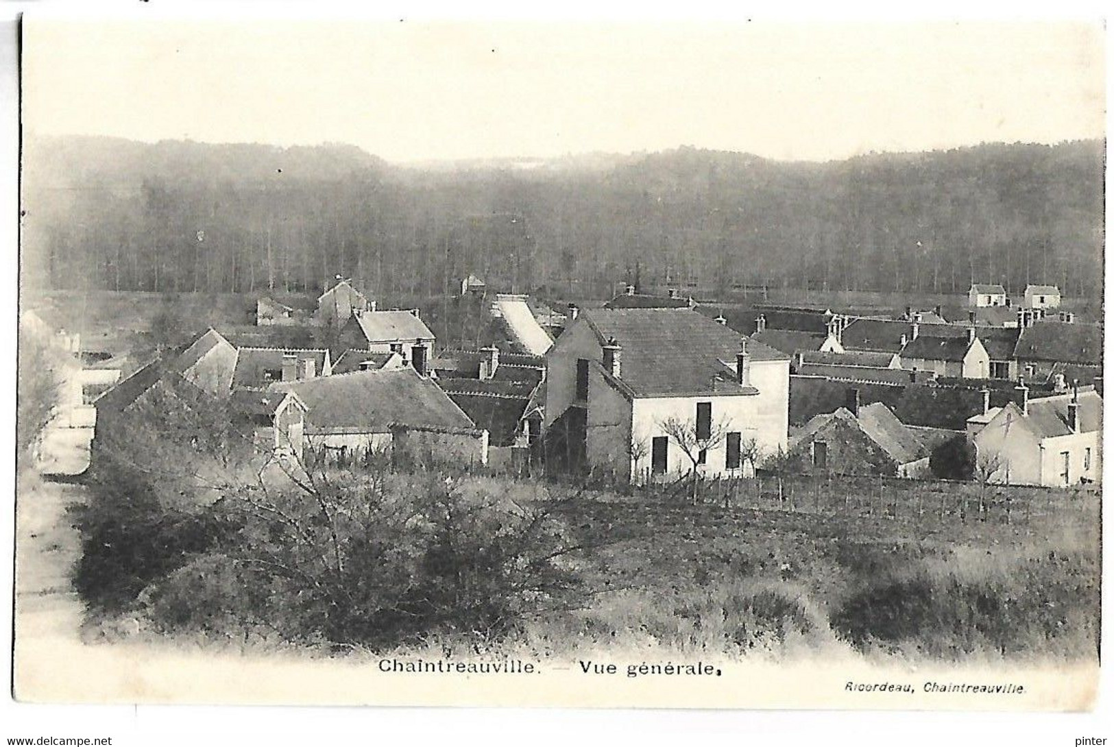 SAINT PIERRE LES NEMOURS - CHAINTREAUVILLE - Vue Générale - Saint Pierre Les Nemours