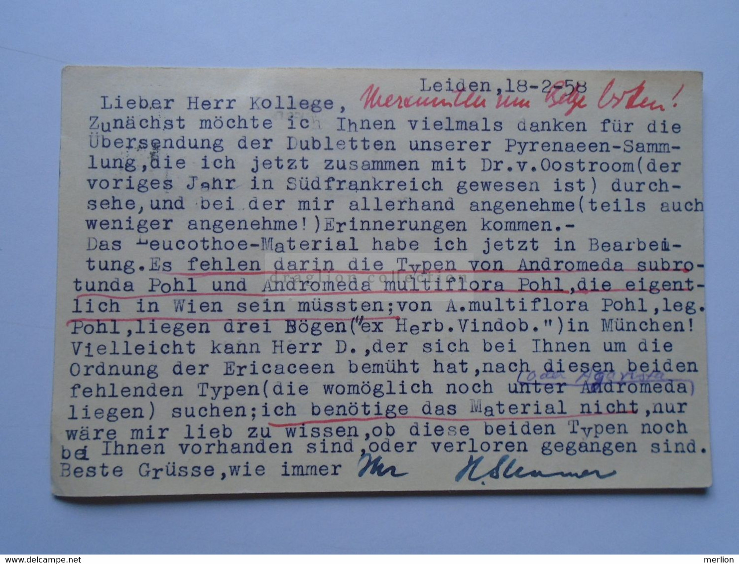 D175808 Netherlands  1958  LEIDEN   Sent To  K. H. Rechinger Botanist -  Naturhistorisches Museum  . Wien - Other & Unclassified