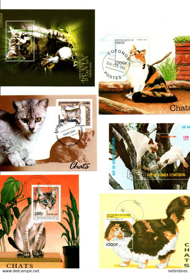 Lot Timbres Thematique " Chats " - Andere & Zonder Classificatie