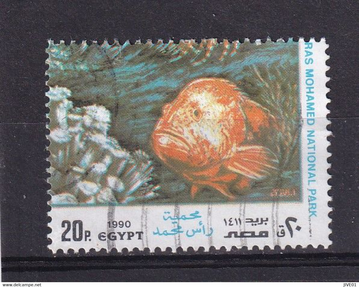 EGYPTE 1990 : Y/T  N° 1423  OBLIT. Poissons - Gebraucht