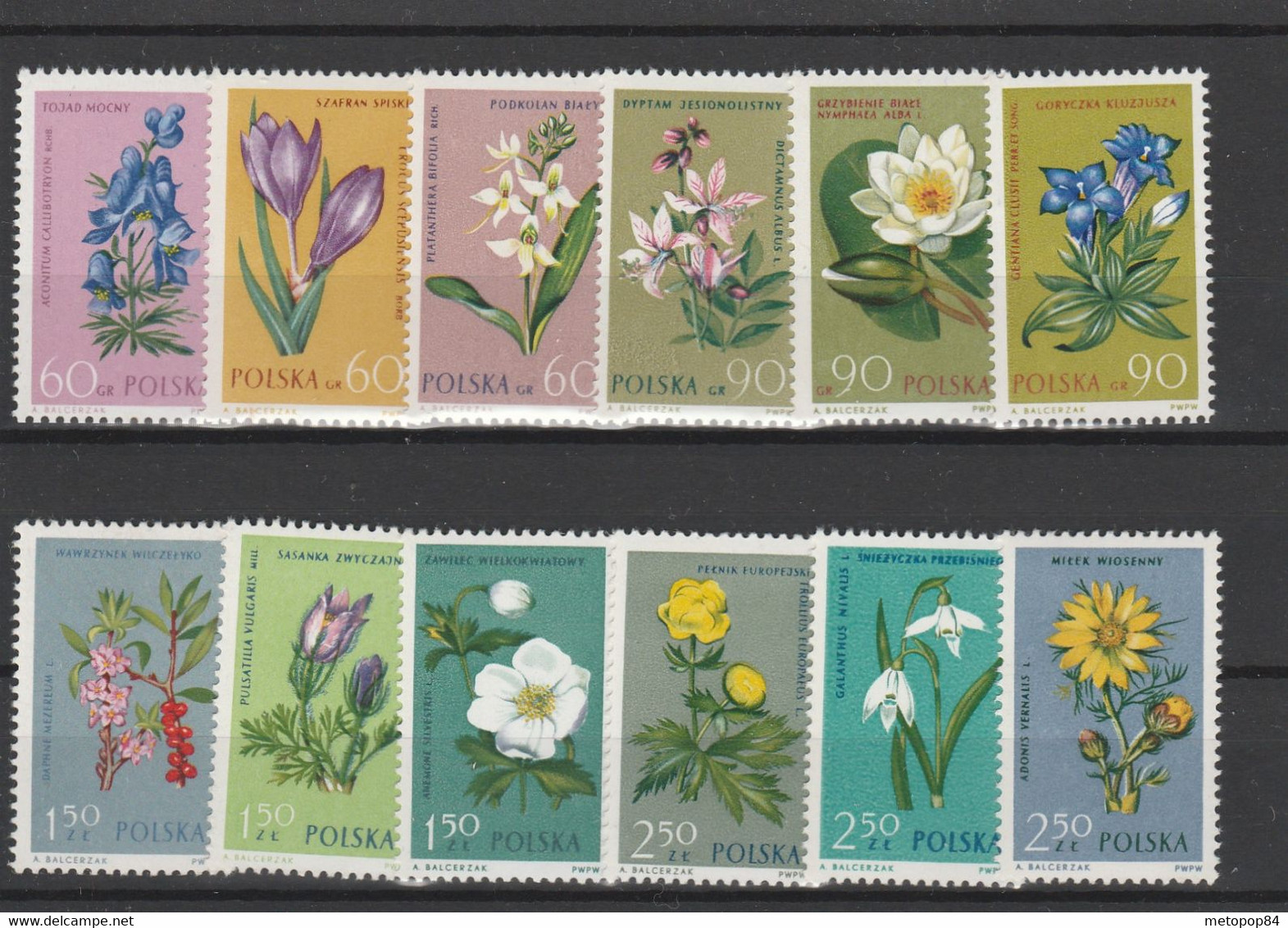 Poland 1962 Protected Plants MNH - Other & Unclassified