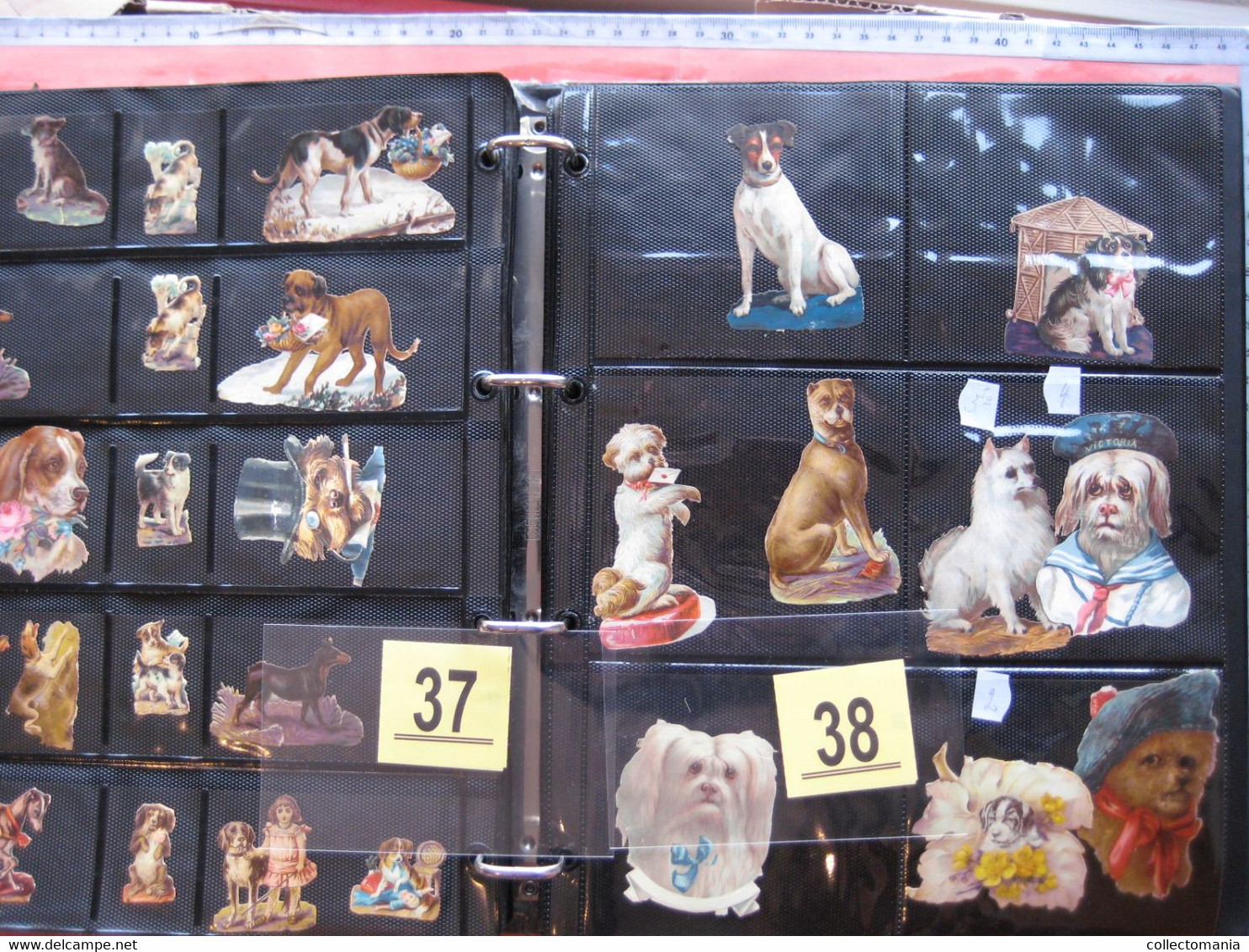 SCRAPS_MAP25 COLLECTION anno 1880 à 1900 Litho prints (count yourself ) die-cuts anthropomorph Dogs Hunden Chien