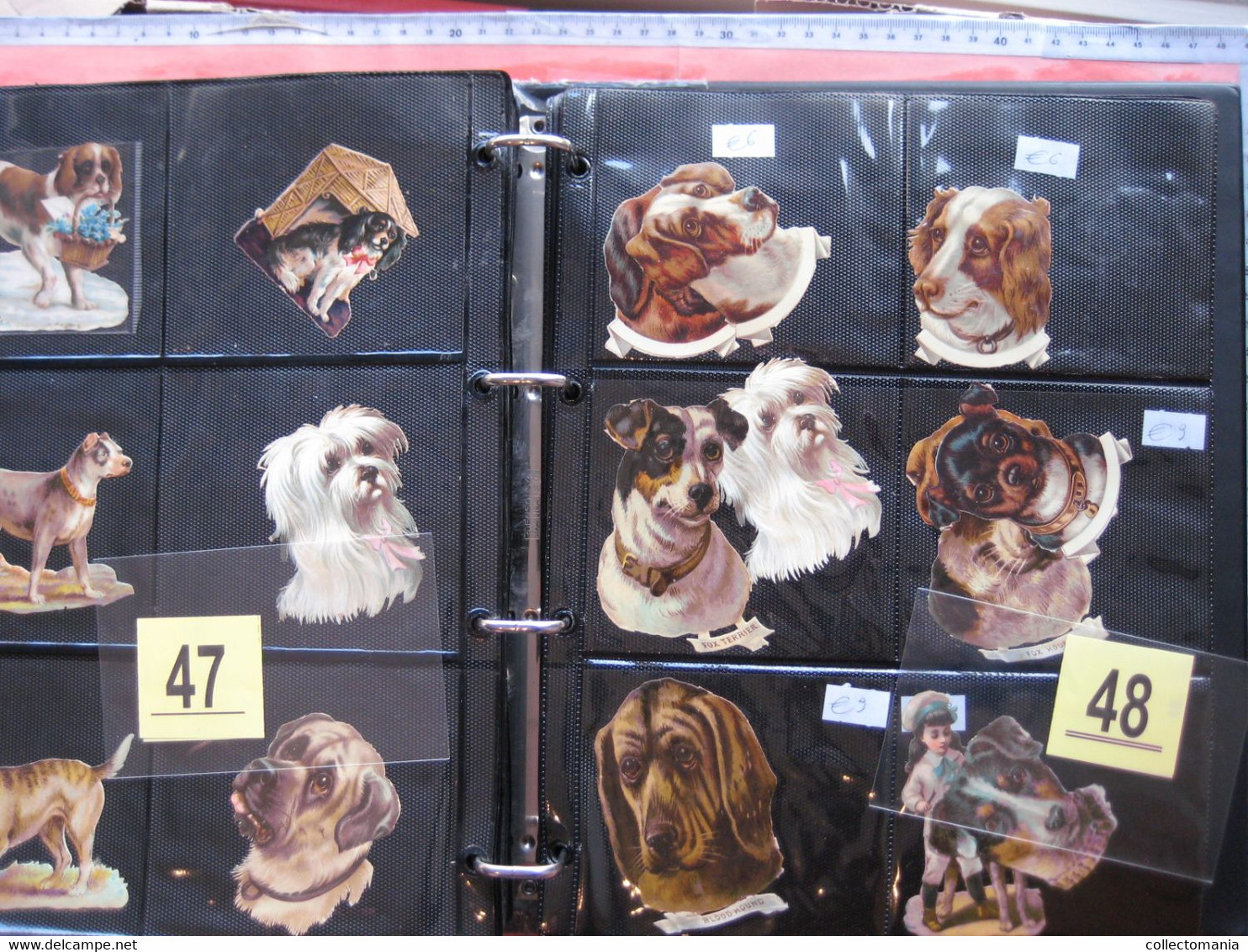 SCRAPS_MAP25 COLLECTION anno 1880 à 1900 Litho prints (count yourself ) die-cuts anthropomorph Dogs Hunden Chien