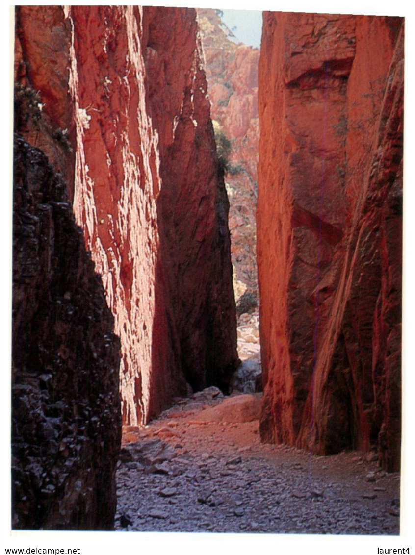 (Y 16) Australia - NT - Central Australia (2 Postcards) - The Red Centre