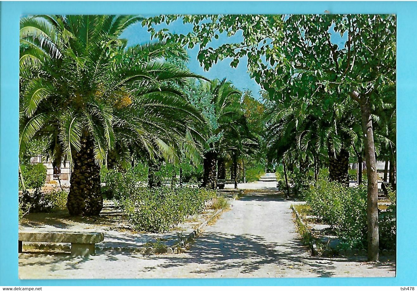 ESPAGNE----NAVALMORAL DE LA MATA--parc Municipal Casto Lozano---voir 2 Scans - Cáceres