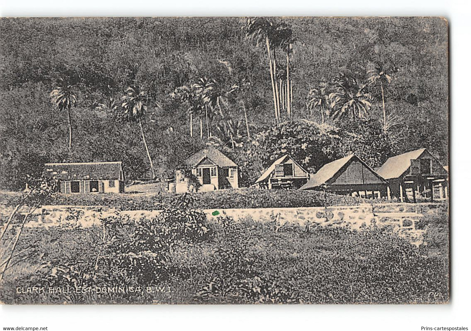 CPA Dominique - Clark Hall Est. - Dominica - B.W.I - Dominique