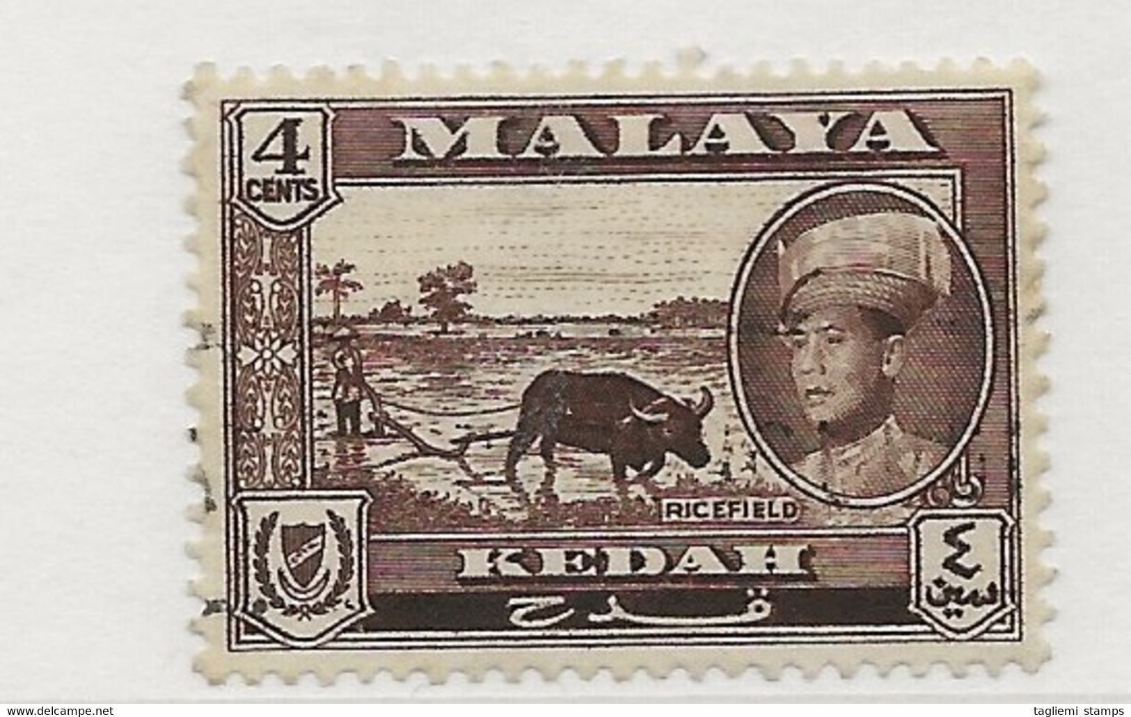 Malaysia - Kedah, 1959, SG 106, Used - Kedah