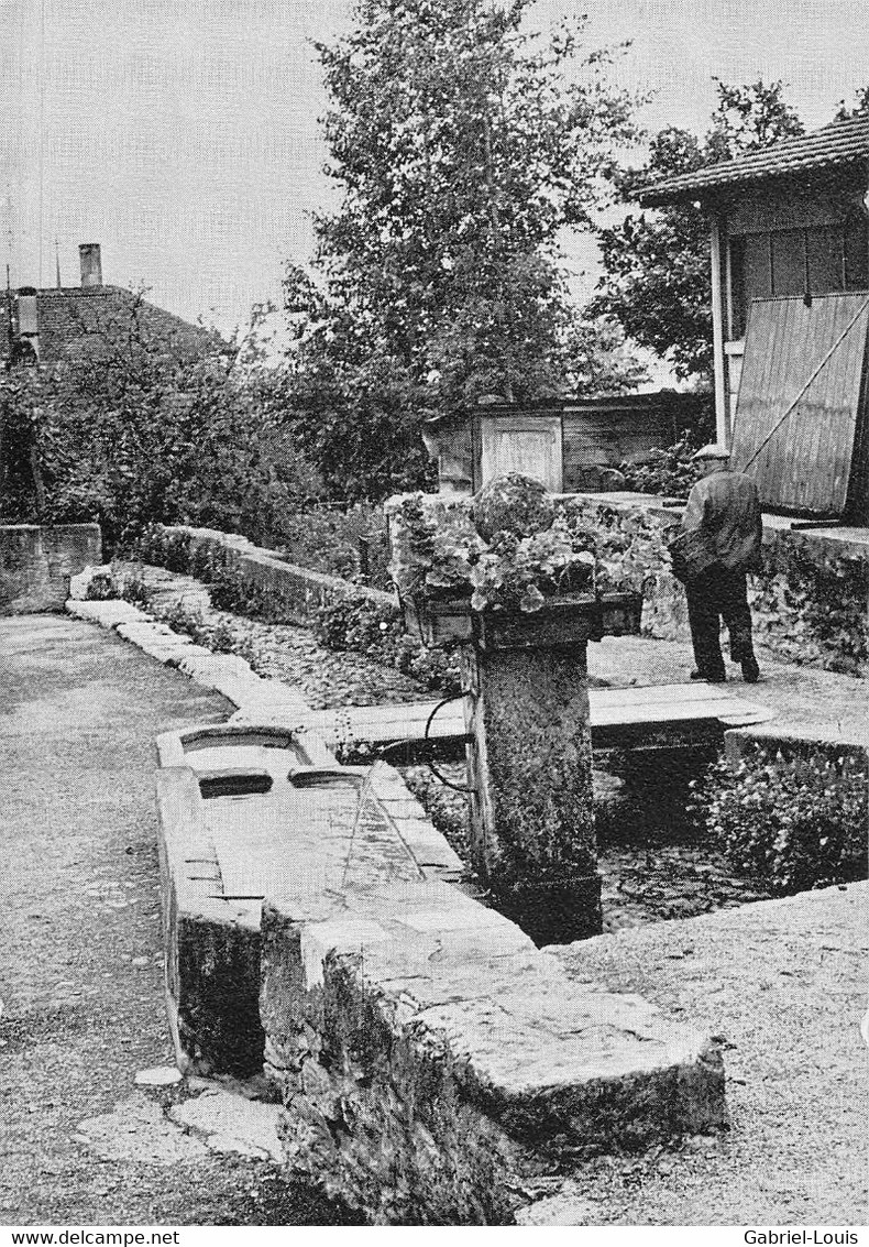 Fontaine Des Voûtes  Saint-Blaise Photo Jean-A. Nyfler    ( 10 X 15 Cm) - Saint-Blaise