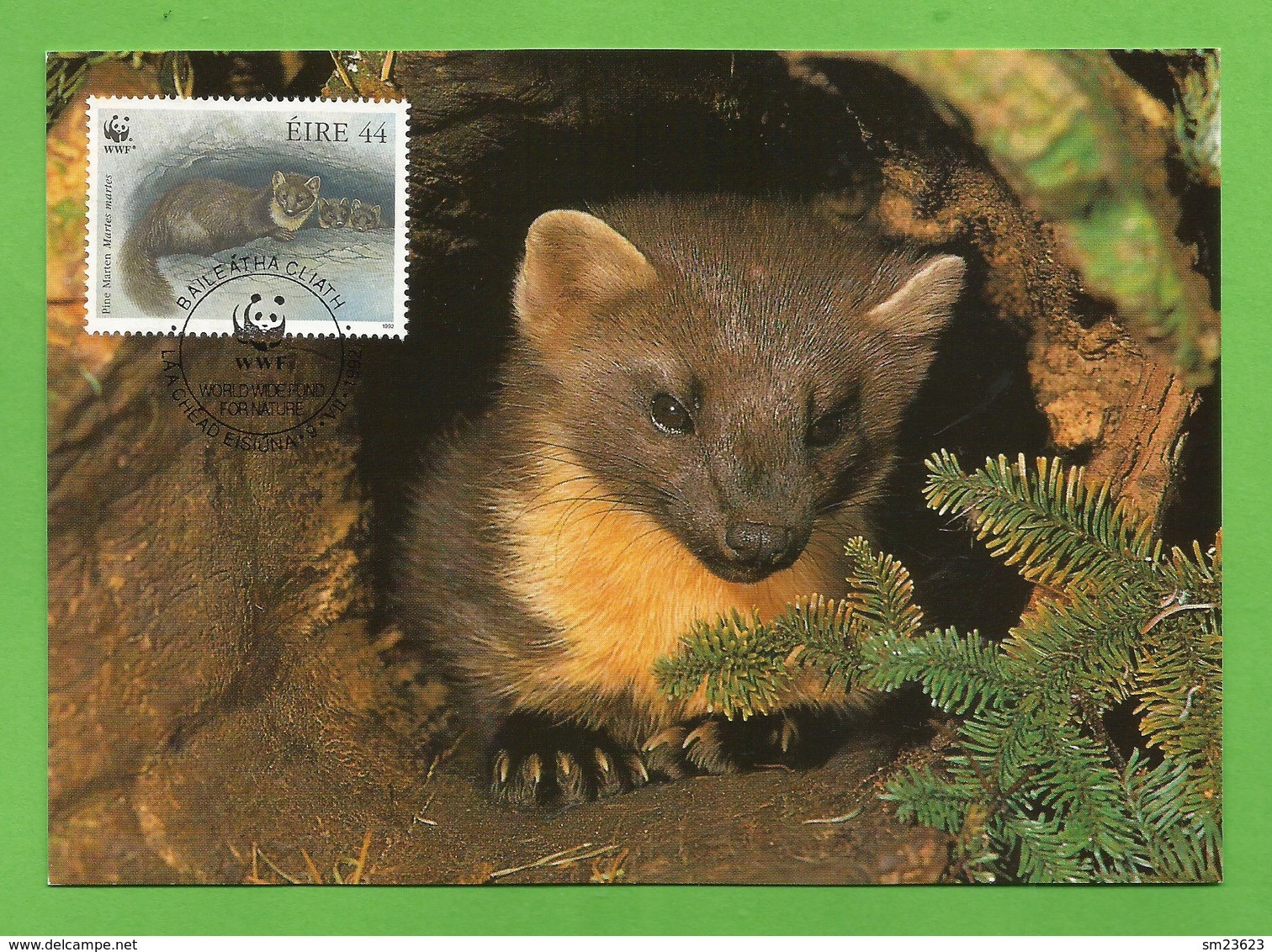 Irland 1992  Mi.Nr. 800 , Pine Marten (Der Edelmarder) - WWF Maximum Card - First Day 9.VII.1992 - Maximumkarten