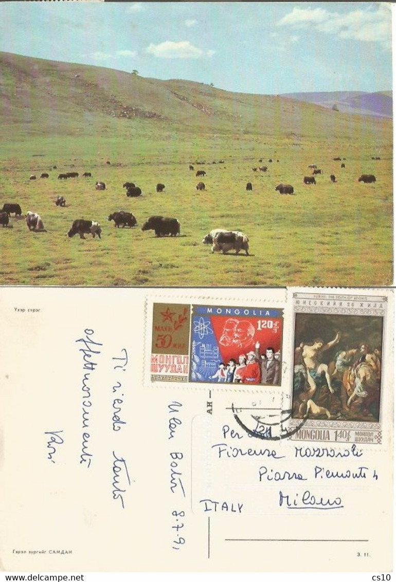 Mongolia Grazing Buffaloes In The Prairie - Pcard Ulan Baatar 8jul1991 With 2 Stamps - Mongolei