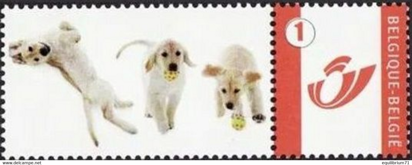 DUOSTAMP** / MYSTAMP** - Chien  / Hond / Hund / Dog - Ungebraucht