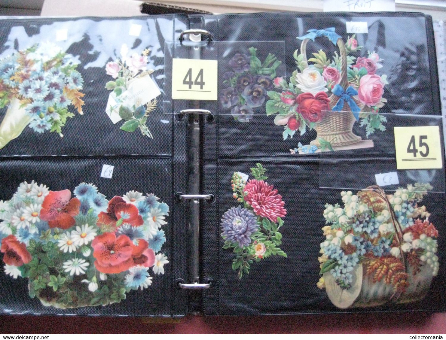 SCRAPS_MAP27 COLLECTION anno 1880 à 1900 Litho prints (count yourself ) Big FRUIT & Flowers Fleurs bloemen