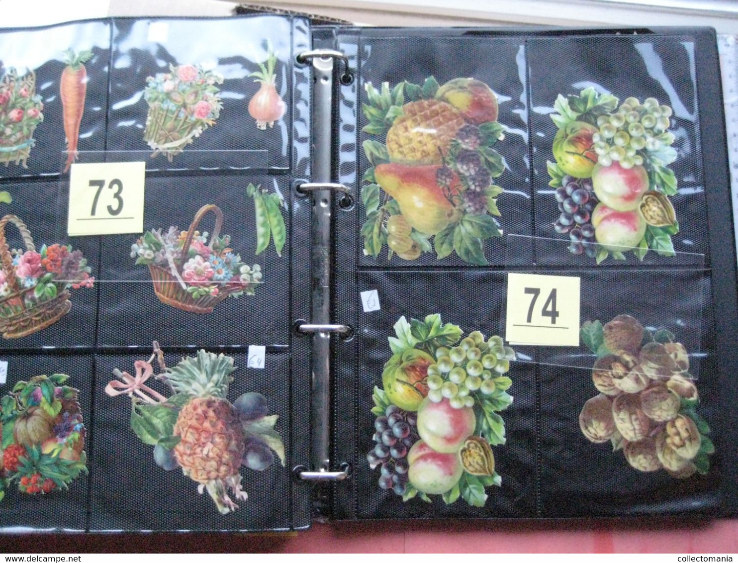 SCRAPS_MAP27 COLLECTION anno 1880 à 1900 Litho prints (count yourself ) Big FRUIT & Flowers Fleurs bloemen