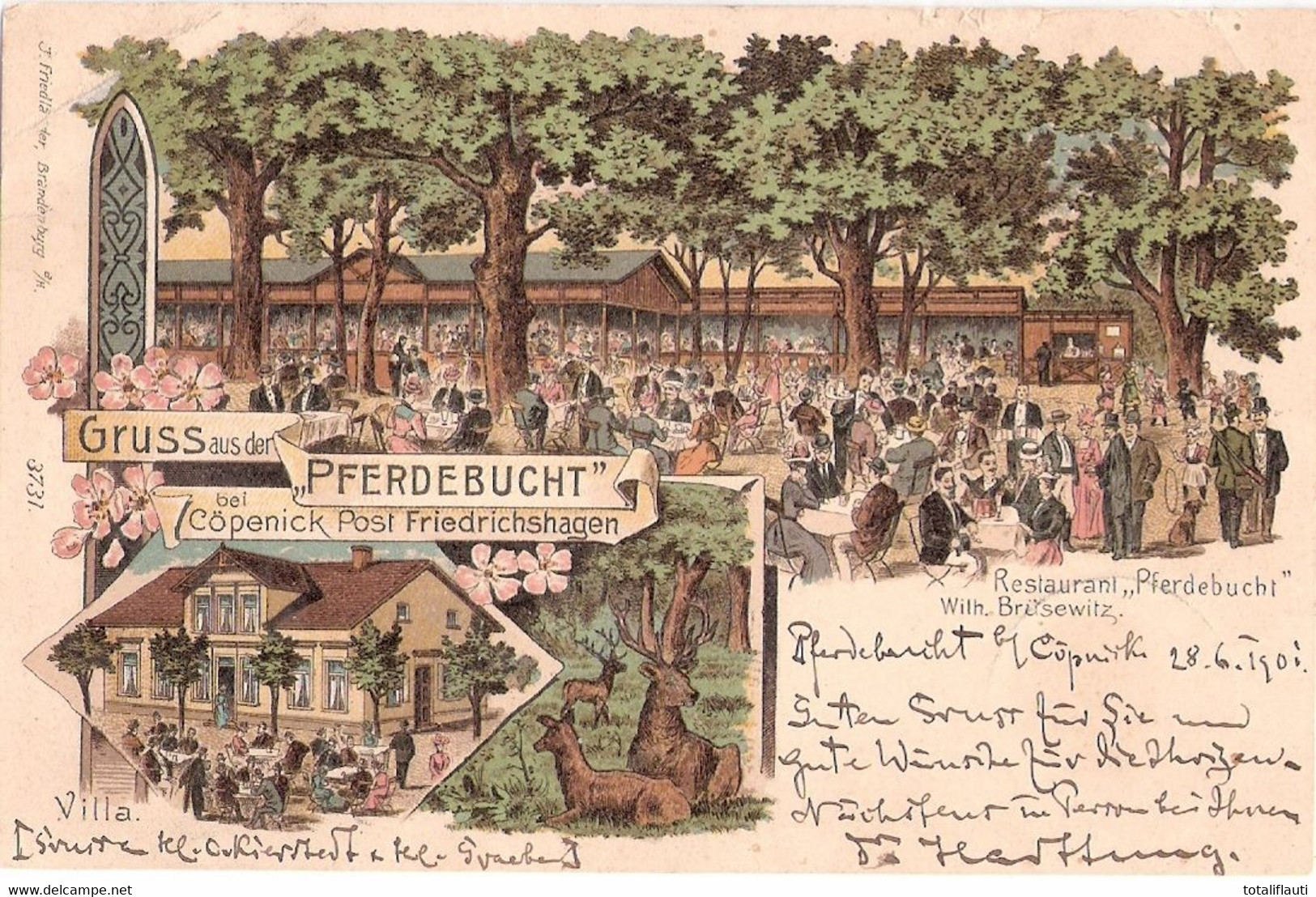 Berlin Gruss Aus Der Pferdebucht Inh Wilh Brüsewitz KÖPENICK Post Friedrichshagen Color Litho 29.6.1901 Gelaufen - Köpenick