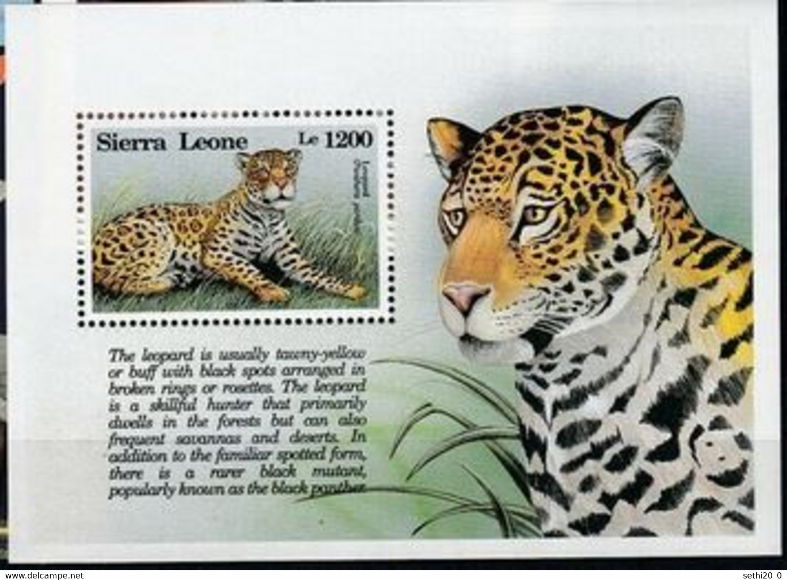 Sierra Leone Wild Cats Chats Sauvages Léopard MNH - Andere & Zonder Classificatie