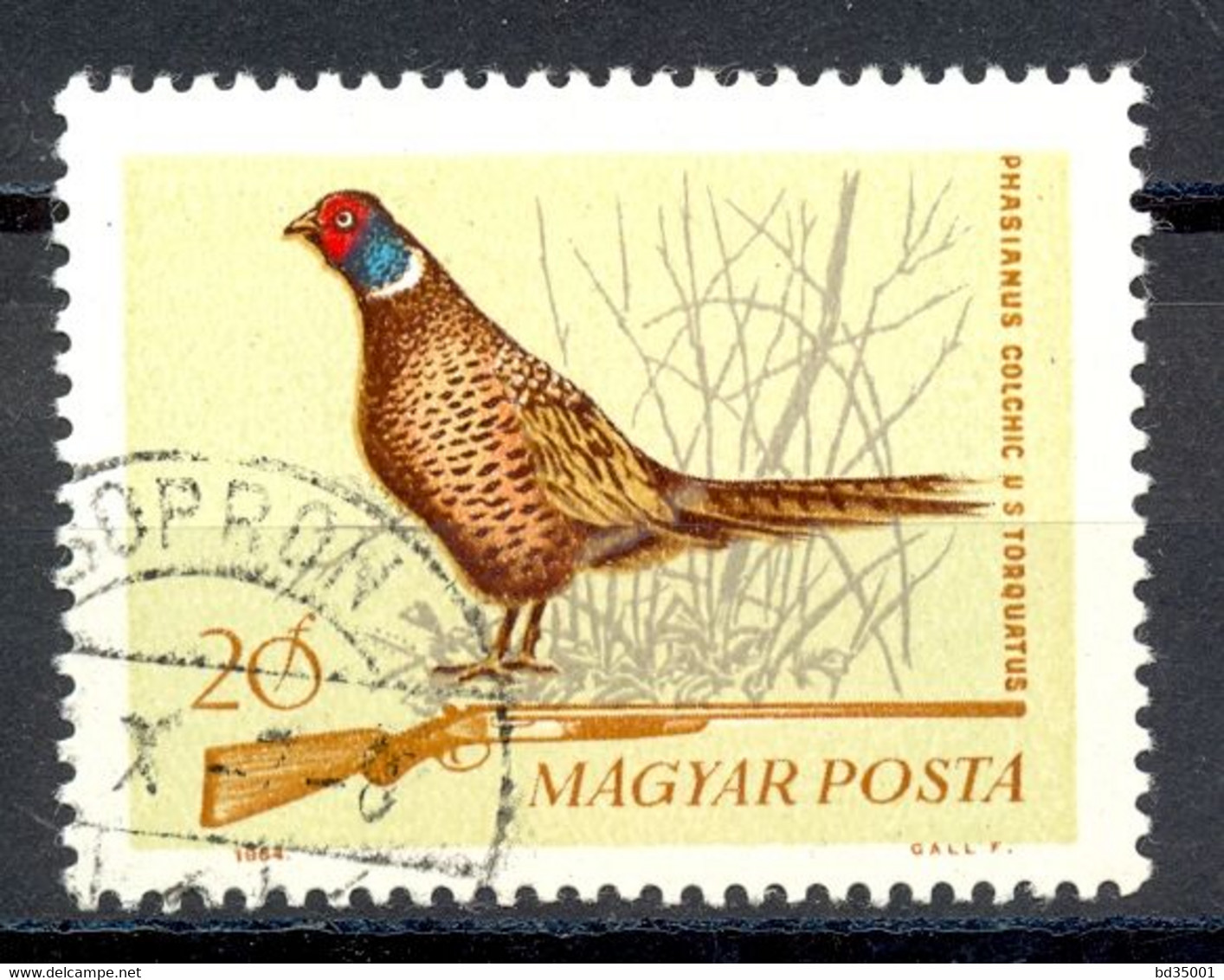 Oblitéré - Hongrie - MAGYAR POSTA 1964 Y&T 1690 - Faisan - Phasianus Colchicus - Chasse - (1) - Autres & Non Classés