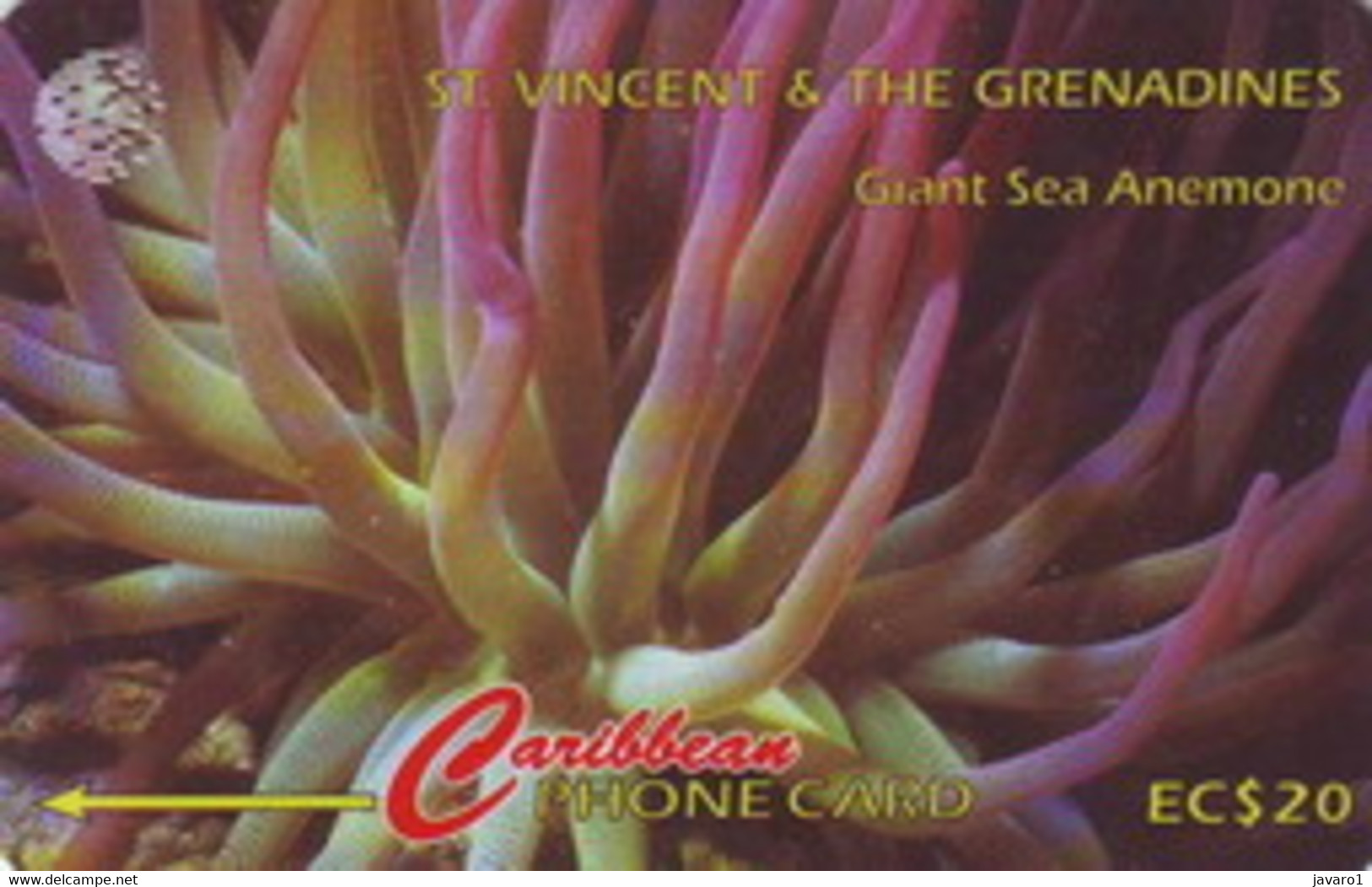 STVINCENT : 101B 20 Giant Sea Anemone USED - St. Vincent & Die Grenadinen