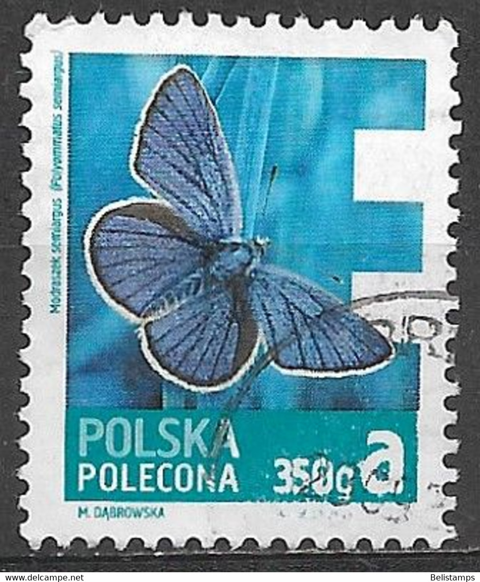 Poland 2013. Scott #F1 (U) Insect, Polyommatus Semiargus - Andere & Zonder Classificatie