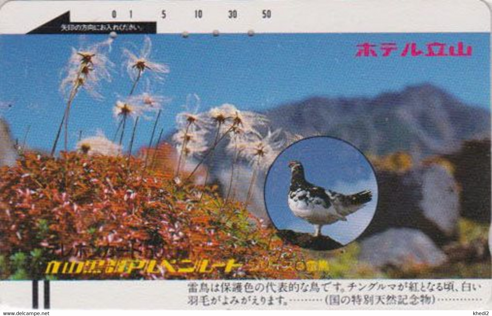 TC Ancienne JAPON / 110-13357 B - ANIMAL - OISEAU - LAGOPEDE - GROUSE BIRD JAPAN Phonecard - 5266 - Gallinaceans & Pheasants