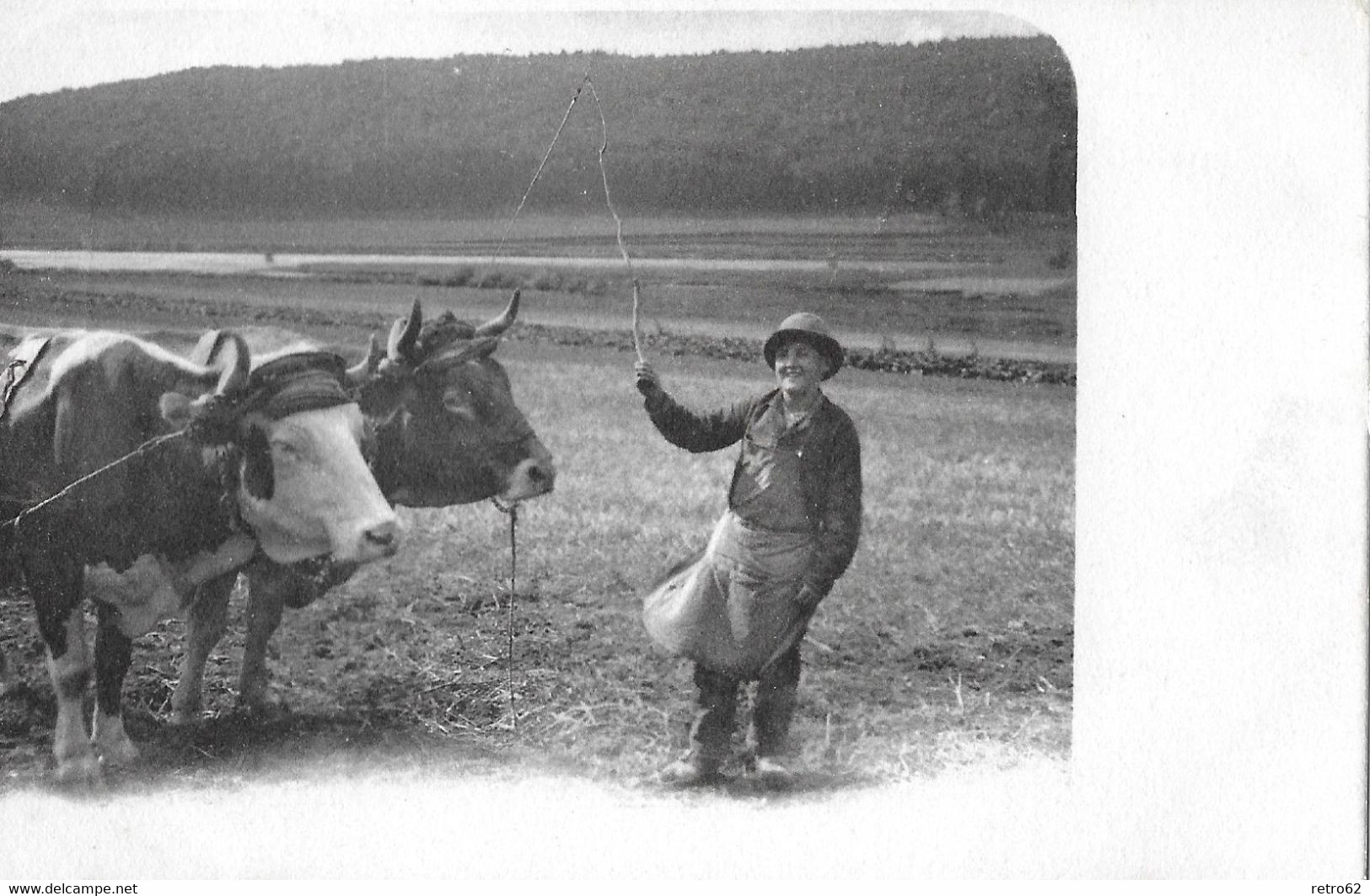 LANDWIRTSCHAFT → Bauer Mit Ochsengespann Auf Dem Feld, Ca.1900 - Enge